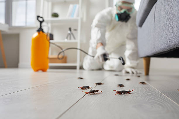 Commercial Kitchen Cockroach Control in Winnfield